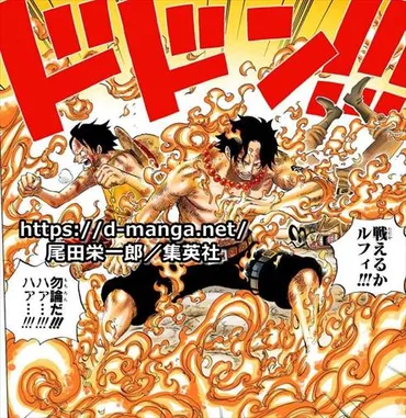 ワンピース考察】エースまとめ完全版！今後復活する？メラメラの実の技は？タトゥー（ASCE）の意味とは？父親はロジャー？過去や生い立ちは？【火拳】【能力強さ】  