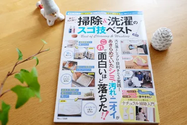 オキシクリーンの収納＊ダイソー×セリアで断然使いやすく！ & お知らせ : ＊ゆるーくおうちのことを考えるブログ＊ Powered by  ライブドアブログ