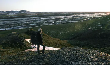 星野道夫事務所公式サイト