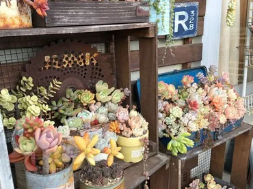 100均セリアで始める！おしゃれガーデニング入門～必要なアイテムは？（多肉植物・園芸用品）セリアの園芸用品で始める、簡単＆おしゃれなガーデニング術