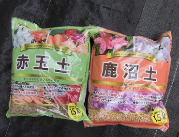 100均のガーデニング用土は手軽で便利!気になる品質とコスパは?