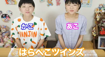 はらぺこツインズは病気・過食嘔吐ではない！理由を解説！本名やプロフィールを公開！ 