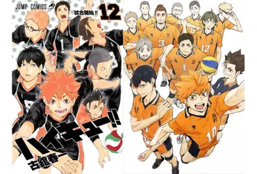 ハイキュー!!』烏野高校メンバープロフィール紹介＆解説 