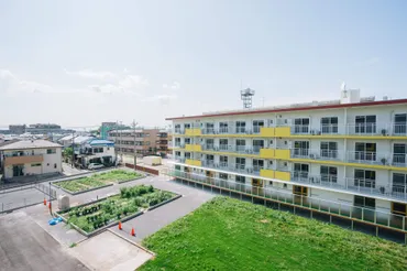 ハラッパ団地の魅力とは？:子育て世代に人気の理由を徹底解説！草加市にあるリノベーション団地「ハラッパ団地」の秘密