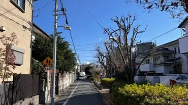 柿の木坂ってどんなとこ？玉木宏・木南晴夏夫妻の暮らしぶりから見る高級住宅街の魅力とは？玉木宏さんと木南晴夏さんが暮らす街、柿の木坂の魅力