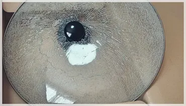 EMS・国際郵便・国際小包の調査請求および損害賠償の条件について