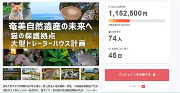 クラファンで保護ネコシェルター – 奄美新聞