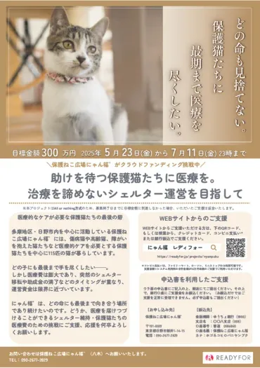 保護猫たちの治療を諦めないシェルター運営を目指し、 7月11日までクラウドファンディングを実施 