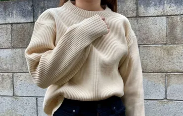 うそ、1,500円!?最高の新商品が登場!【ワークマン】レディースSOLOTEXアゼプルオーバー「洗濯機で洗える♪」「型崩れしにくい」