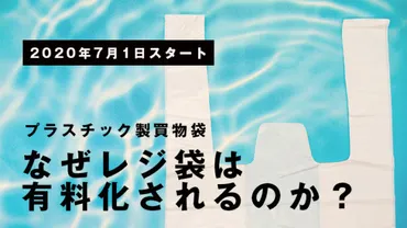 プラスチック製買物袋有料化】なぜレジ袋は有料化されるのか?