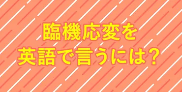 臨機応変」の英語表現ご紹介!四字熟語の英語表現とは!?