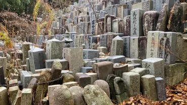 墓じまいは大変？費用や注意点、供養方法を徹底解説！(お墓、改葬、費用？)お墓の悩み、解決への道。墓じまいの基礎知識から、供養の選択肢まで。