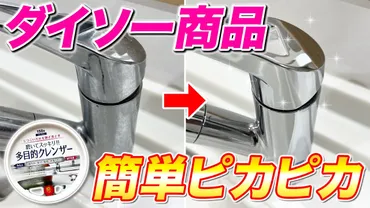 ダイソーの多目的クレンザーで蛇口の水垢がスルスル落ちる!茂木流掃除講座【茂木和哉】