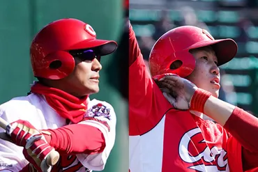 小園海斗選手、躍進の秘密とは？2024年の活躍を徹底分析！広島カープ、若き遊撃手の躍進