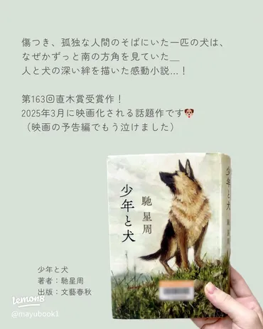 感動の物語『少年と犬』 