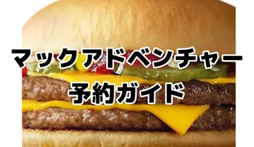 マックアドベンチャー完全ガイド!予約方法から年齢制限、会員登録まで徹底解説