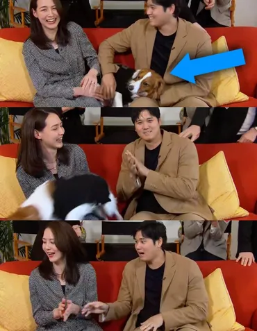 大谷翔平選手の結婚、MVP、そして激動の2024年を振り返る！(？)大谷翔平選手の2024年の活躍と、妻・真美子夫人との出来事