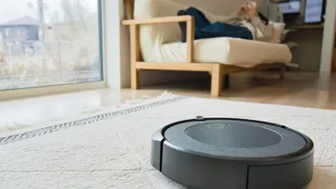 手作業で掃除をする時代は終了。きれいな家が勝手に保たれる「ロボット掃除機」の活用法を紹介。ルンバを安く買う裏技は…(婦人公論.jp)