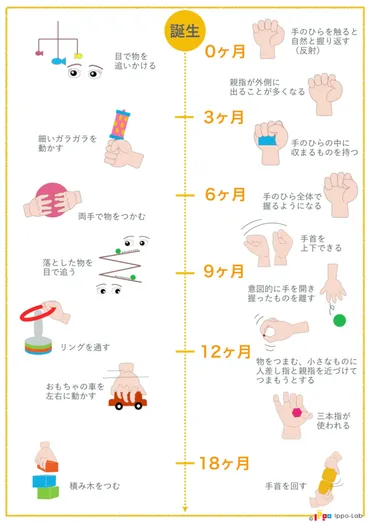 子どもの手の発達って？〜イッポラボ代表が語る、発達段階に合わせたおもちゃ選びのヒント？手の成長と遊びのヒント