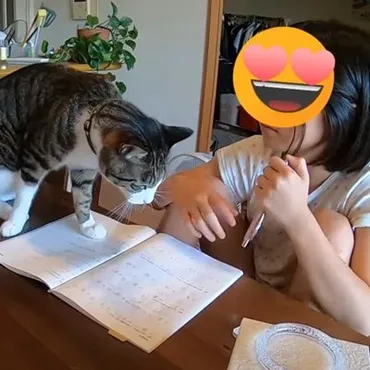 女の子が勉強していたら、猫が……『全然集中できない光景』に笑っ ...