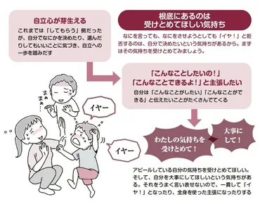 イヤイヤ期」の癇癪に大切なのは「思いを受けとめること」「行動の枠を示すこと」発達心理学者が解説 