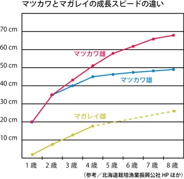 大物が釣れるのにはワケがある！ 知られざるマツカワの生態と狙うべきポイント 
