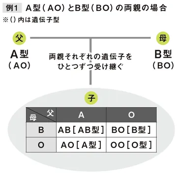 子どもの血液型はどうやって決まる?【眠れなくなるほど面白い 図解 遺伝の話】