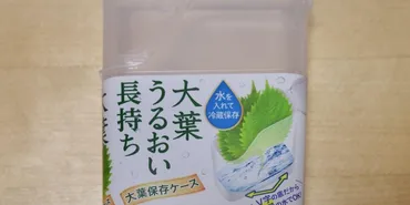 とうとう出たね。。。【セリア】「大葉うるおい長持ち保管ケース」とがりまくりピンポイント過ぎる名品!