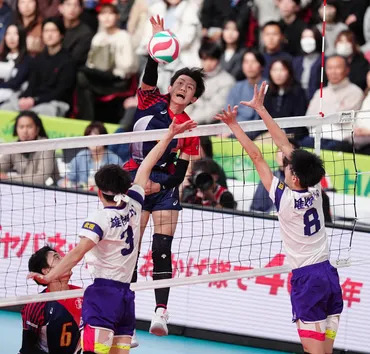 岩田怜緯、春高バレー制覇への道！エースの躍進は？東山高校バレー部エース、岩田怜緯の軌跡