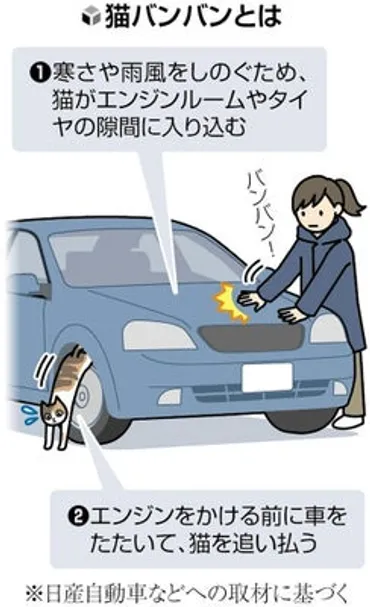 猫バンバンってなに？：猫とドライバーを守る、冬の安全対策とは？猫バンバン：冬の車と猫の安全を守る方法
