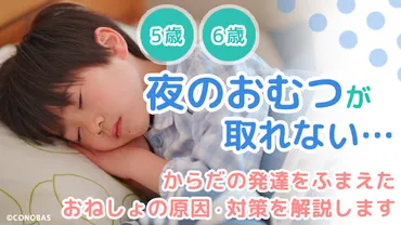 トイトレ、いつから始める？夜のおむつ外れは何歳から？親が知っておきたいトイトレの疑問を解決！夜のおむつ外れ、トイトレ開始時期、外出先でのトイトレ対策、先輩ママのアドバイス
