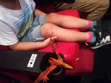 子ども（4歳）が「初めての映画」鑑賞！注意したいこと＆反省点 