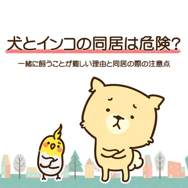 犬とインコの同居は危険?一緒に飼うことが難しい理由と同居の際の注意点