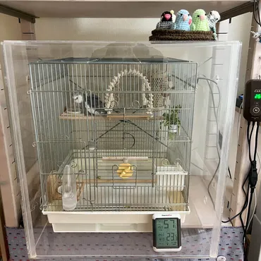 鳥さんと犬や猫との同居