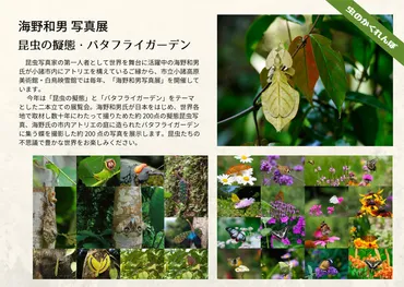 8/22(日)まで開催！世界的昆虫写真家・海野和男写真展「昆虫の擬態・バタフライガーデン」＠小諸市 – Web