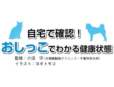 自宅で確認! うんちでわかる健康状態