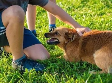 第4回】ペットロスと向き合う