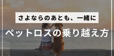 ペットロスの乗り越え方