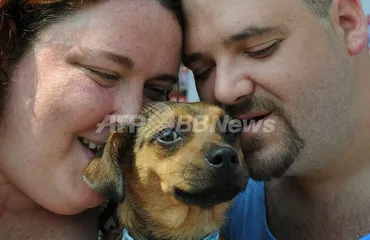 家族を救ったヒーロードッグ、その活躍とは 写真9枚 国際ニュース：AFPBB News