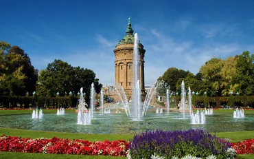 マンハイム(まんはいむ)とは？ 意味や使い方 