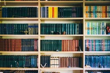 弱い／強いイデオロギー──なぜイデオロギーは純化するのか？ 