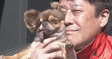 坂上忍、11歳゛長男゛・佐藤ツトムの旅立ちに涙 介護の日々経ての別れに「本当にありがとうございました」（1/2） 