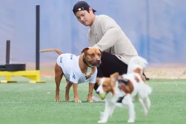 友達はデコピン」山本由伸が愛犬の名前を初披露 「散歩、昼寝、ご飯が大好き」 210万人超フォロワー大興奮「陰のMVP」