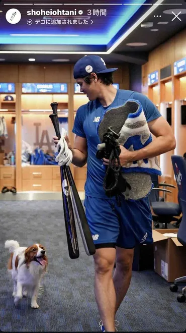 ドジャース・大谷 デコピンと一緒に26年゛始動゛ MLB公式SNS「デコイは準備万全だ!」(スポニチアネックス)