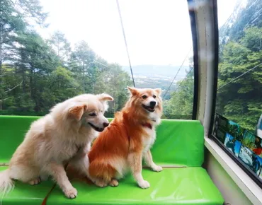 驚きの福ちゃん体質 