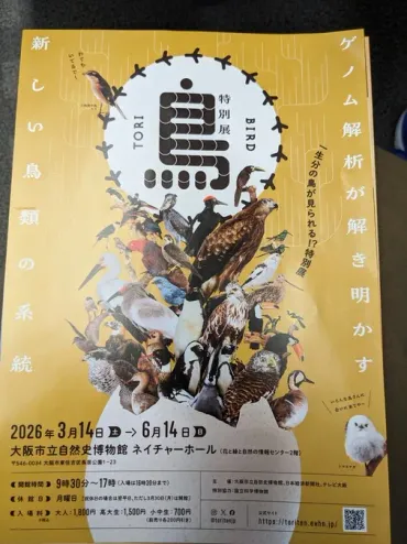 鳥類の特別展ってどんな展示？気になる内容を徹底解説！進化と多様性、未来への展望：鳥類展の見どころ