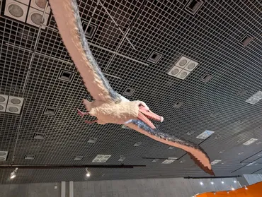 古生物イベント】特別展 鳥 ~ゲノム解析が解き明かす新しい鳥類の系統~ (国立科学博物館)