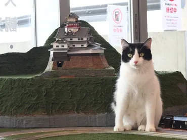 安藤忠雄氏設計の名建築が…゛猫の楽園゛に!? 鉄道模型の世界で遊ぶ猫たちで有名な「ジオラマ食堂」に新展開