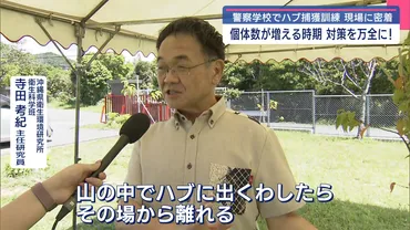 警察学校でハブ捕獲の実践授業 ハブに遭遇したら? – QAB NEWS Headline