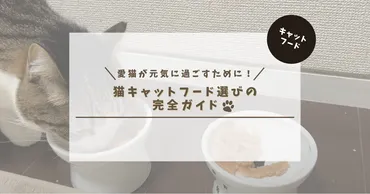 愛猫が元気に過ごすために！猫キャットフード選びの完全ガイド 